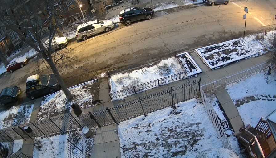 Reolink Camera One_00_Reolink Home Hub One_20260316191202.jpg